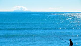 Whakatane Fishing