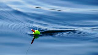 Fishing Whakatane