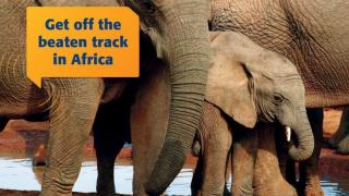 Discover Africa's Hidden Treasures