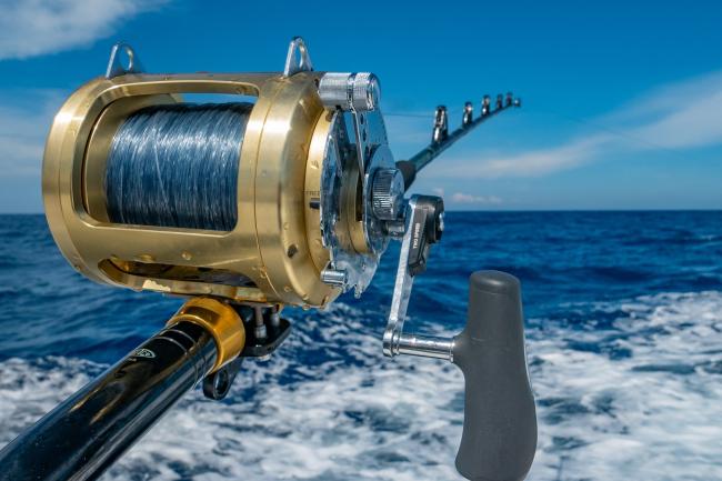 Fishing Charters Whakatane